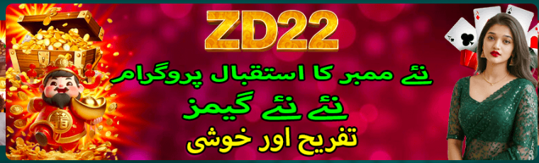 zd22 game